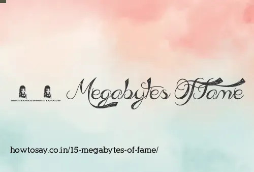 15 Megabytes Of Fame