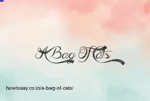 A Bag Of Cats