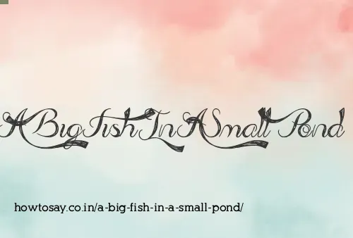 A Big Fish In A Small Pond