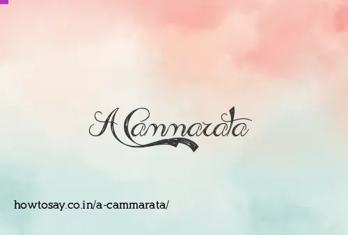 A Cammarata