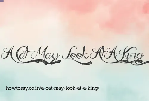 A Cat May Look At A King