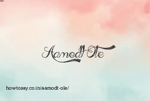 Aamodt Ole