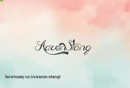 Aaron Stang