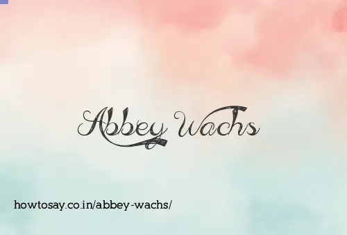 Abbey Wachs