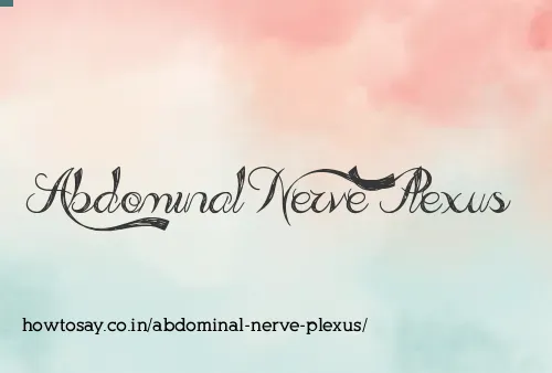 Abdominal Nerve Plexus