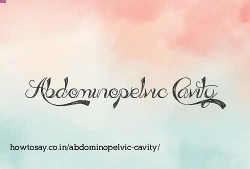 Abdominopelvic Cavity