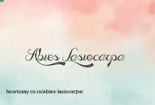 Abies Lasiocarpa