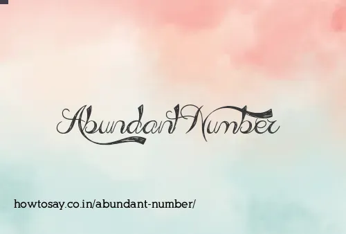 Abundant Number