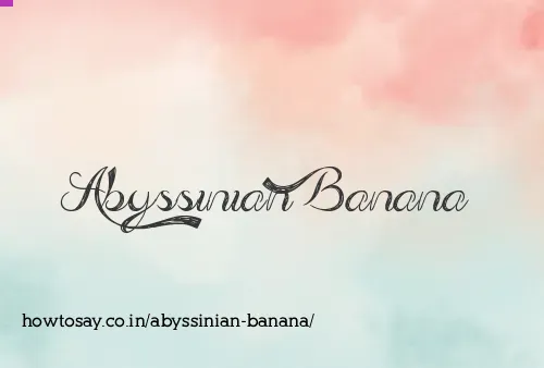 Abyssinian Banana