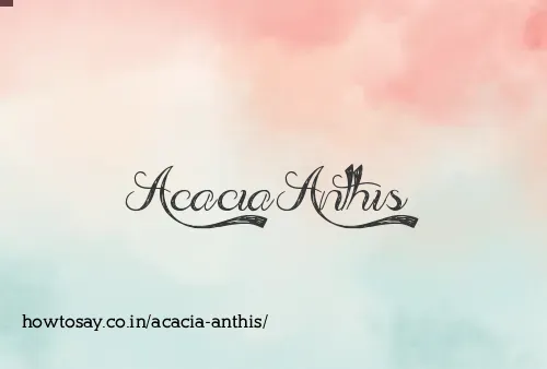Acacia Anthis