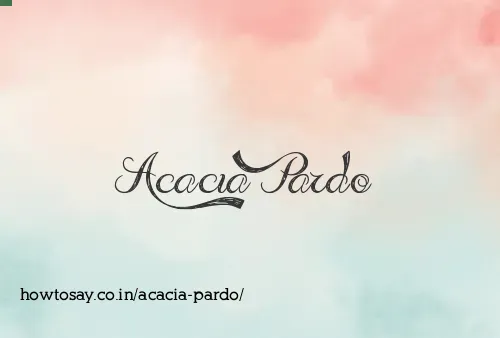 Acacia Pardo