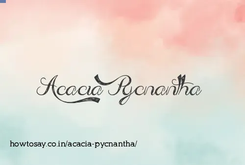 Acacia Pycnantha
