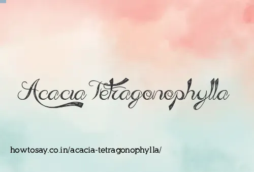 Acacia Tetragonophylla