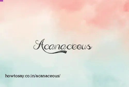 Acanaceous