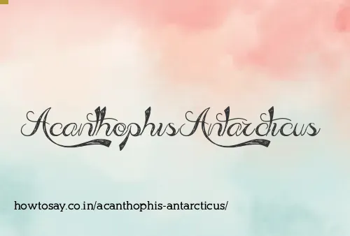 Acanthophis Antarcticus