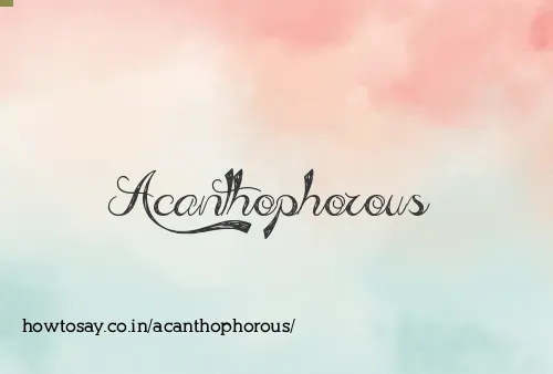 Acanthophorous