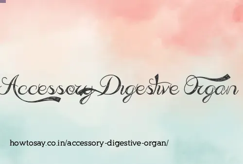 Accessory Digestive Organ