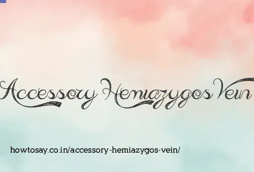 Accessory Hemiazygos Vein