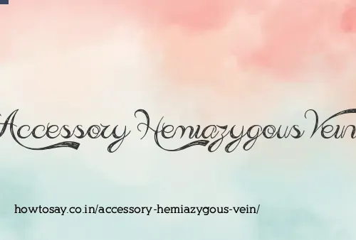 Accessory Hemiazygous Vein