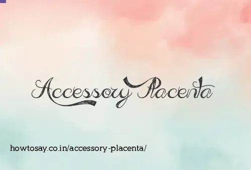 Accessory Placenta