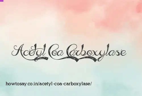 Acetyl Coa Carboxylase