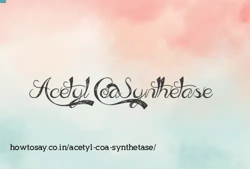 Acetyl Coa Synthetase