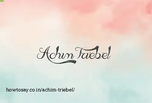 Achim Triebel