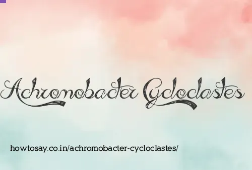 Achromobacter Cycloclastes