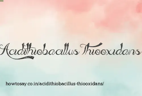 Acidithiobacillus Thiooxidans