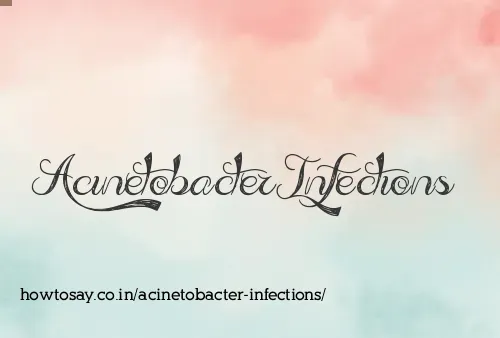 Acinetobacter Infections