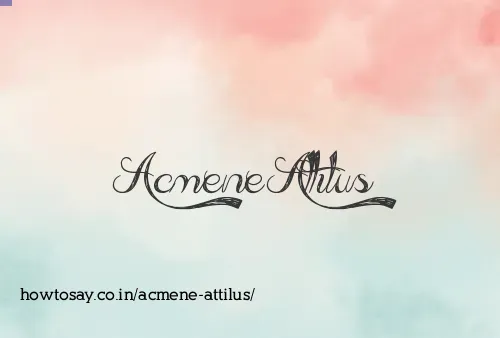 Acmene Attilus