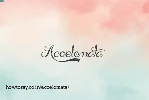 Acoelomata