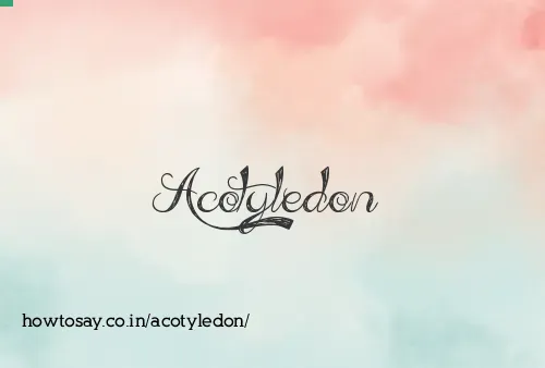 Acotyledon