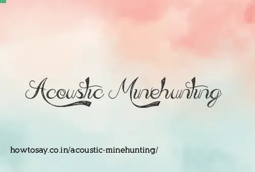 Acoustic Minehunting