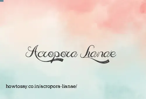 Acropora Lianae