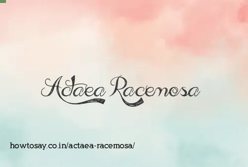 Actaea Racemosa