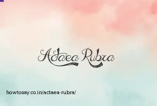 Actaea Rubra
