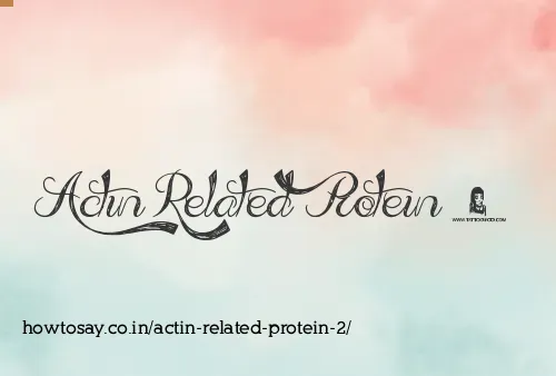 Actin Related Protein 2