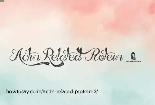 Actin Related Protein 3