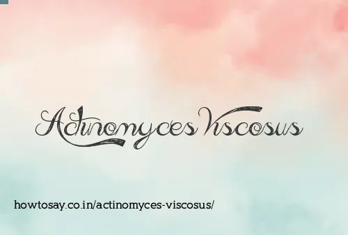 Actinomyces Viscosus