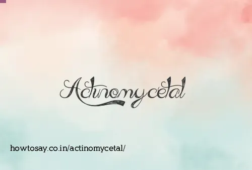 Actinomycetal