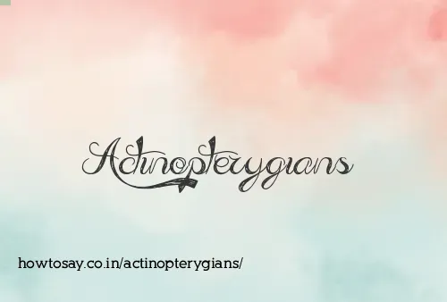 Actinopterygians
