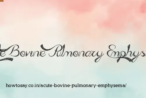 Acute Bovine Pulmonary Emphysema