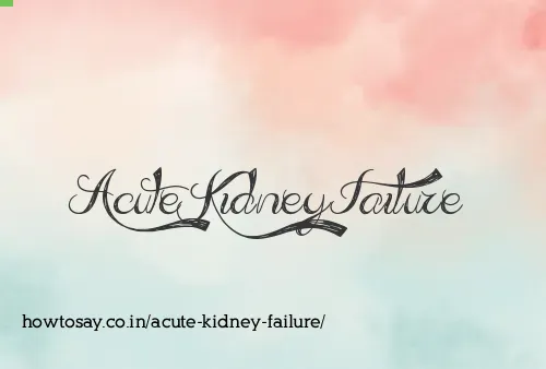 Acute Kidney Failure