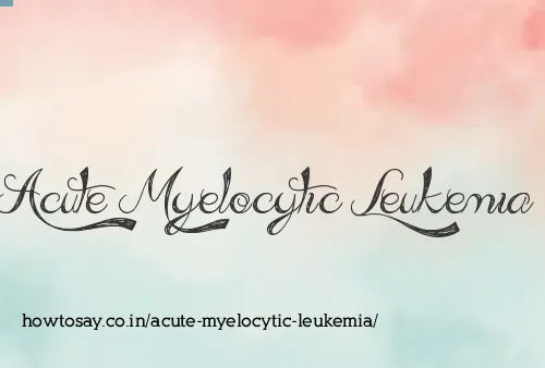 Acute Myelocytic Leukemia