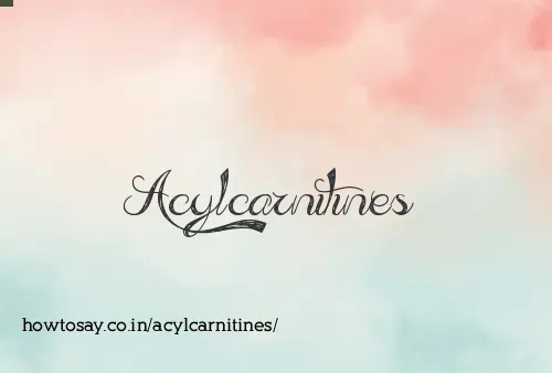 Acylcarnitines
