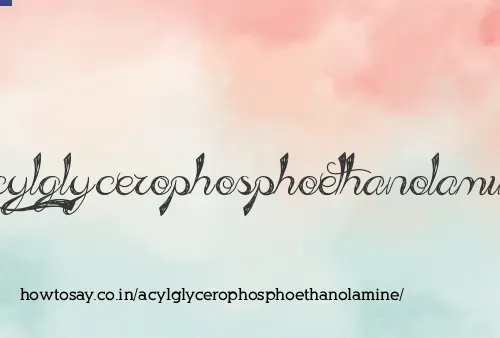 Acylglycerophosphoethanolamine
