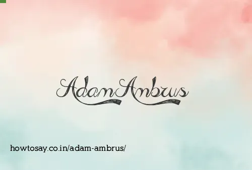 Adam Ambrus