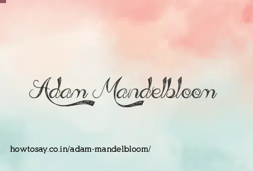 Adam Mandelbloom