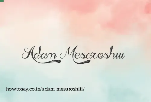Adam Mesaroshiii
